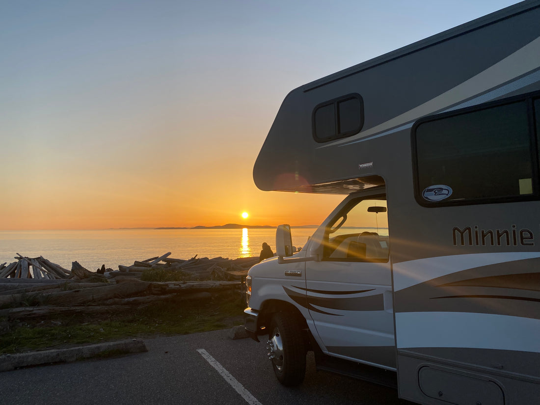 The-Search-for-the-Best-Cat-Friendly-Camping-Vehicle