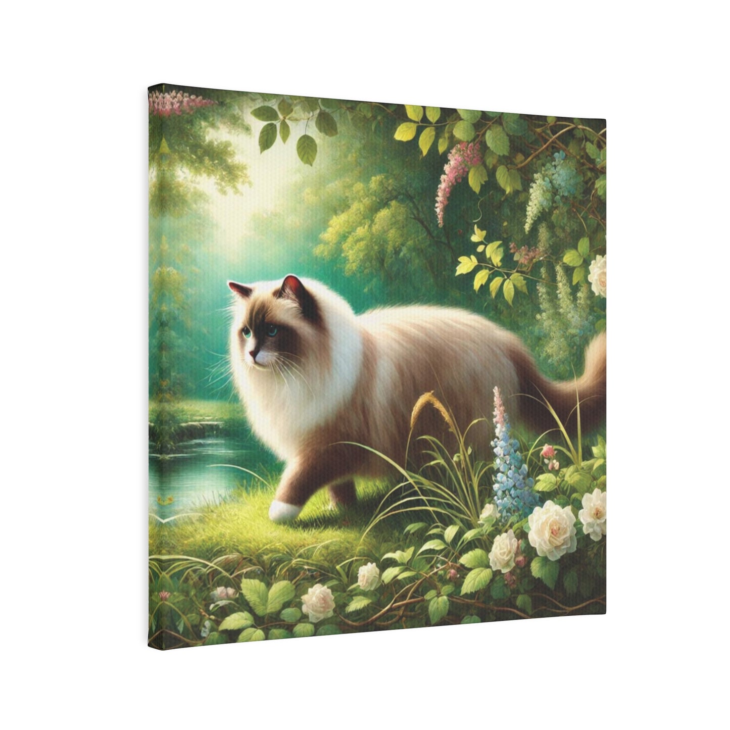 Nature Walk - Cat Lover - Wall Art Decor 8x8 - Ragdoll Cat   