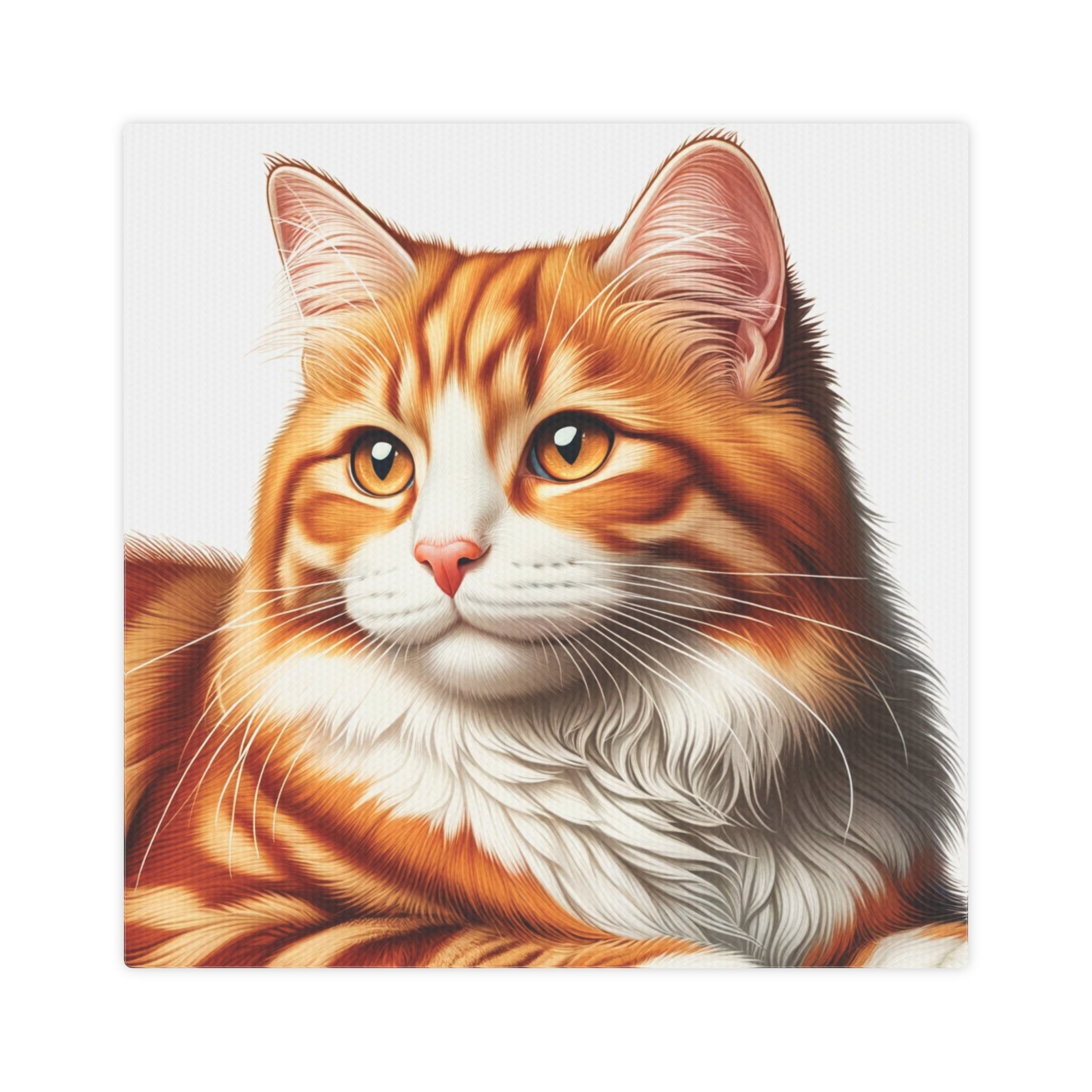 Orange Cat Portrait  - Cat Lover - Wall Art Decor 8x8   