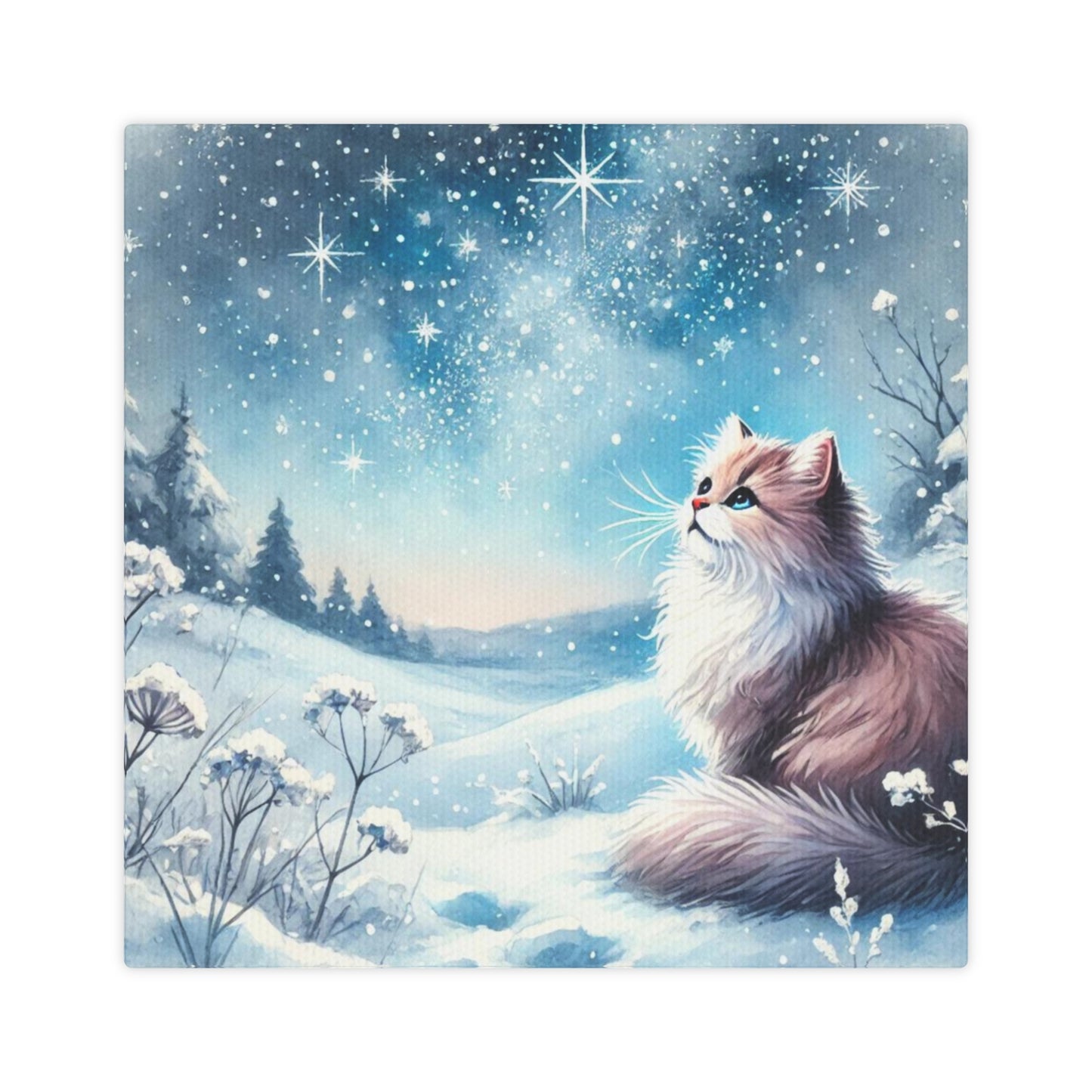 Winter Star Gazing - Cat Lover - Wall Art Decor   