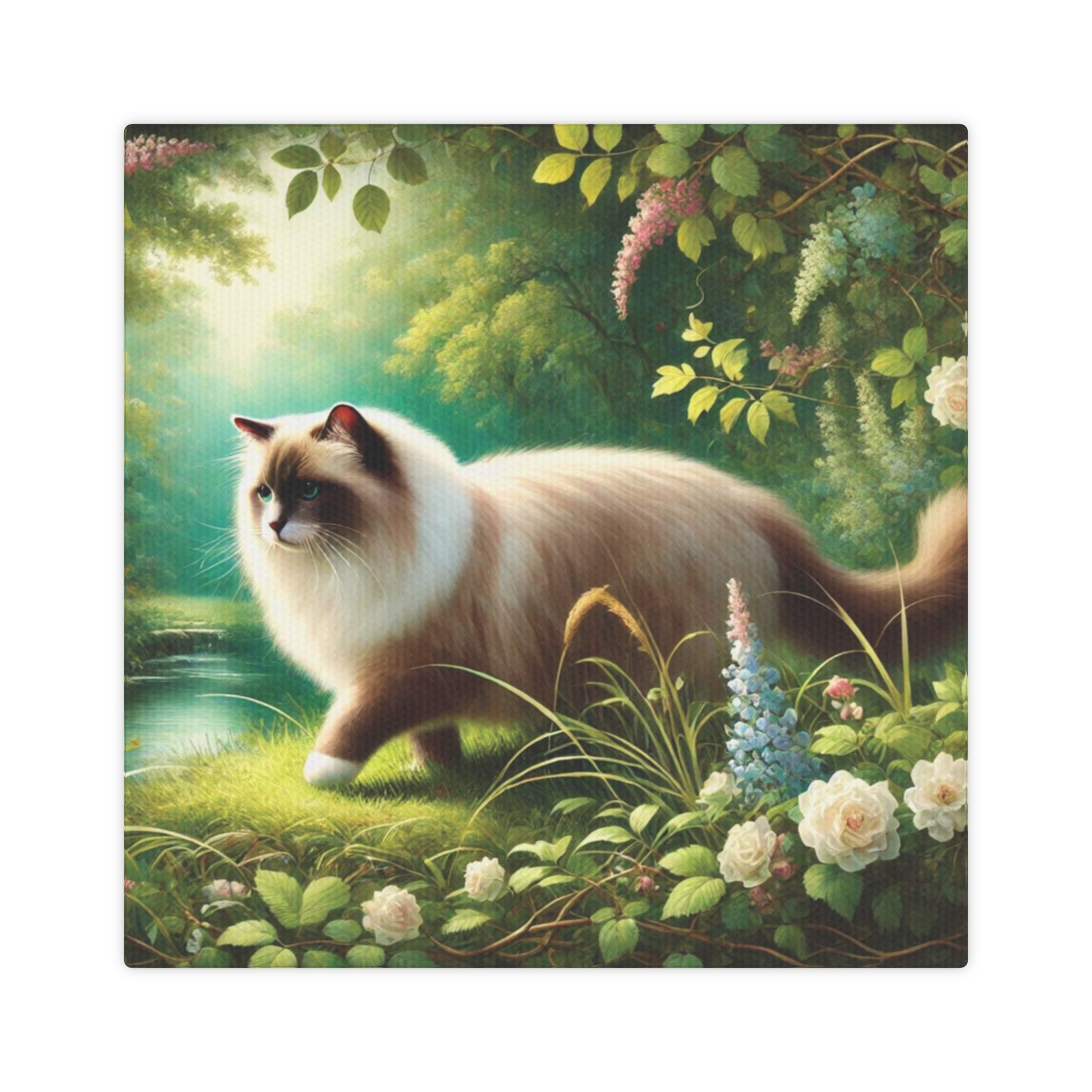 Nature Walk - Cat Lover - Wall Art Decor 8x8 - Ragdoll Cat   