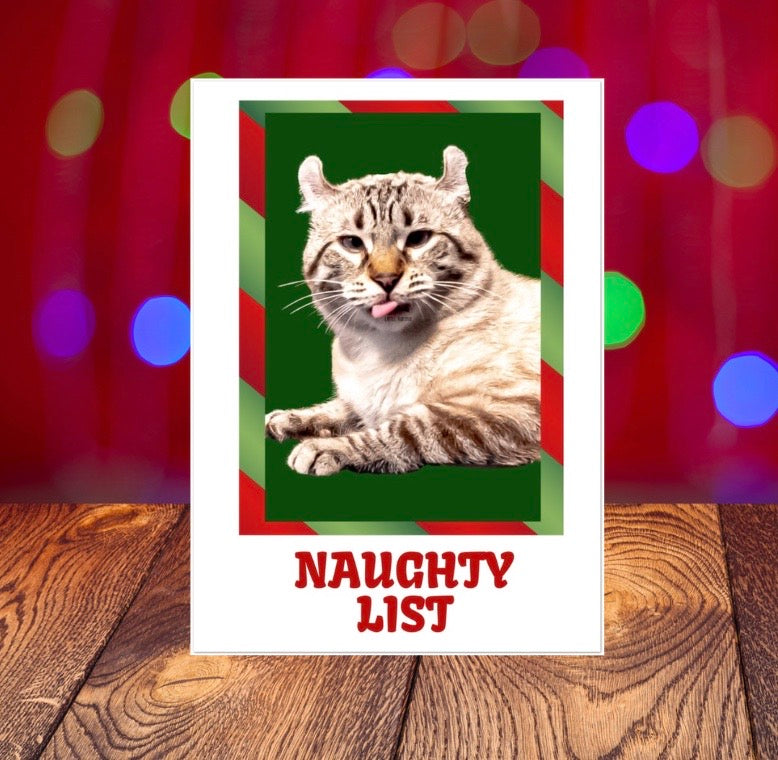 Naughty List - Cat Lover - Pack of 10 Blank - Christmas Greeting Cards 5x7   