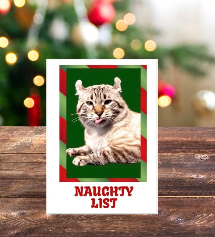 Naughty List - Cat Lover - Pack of 10 Blank - Christmas Greeting Cards 5x7   