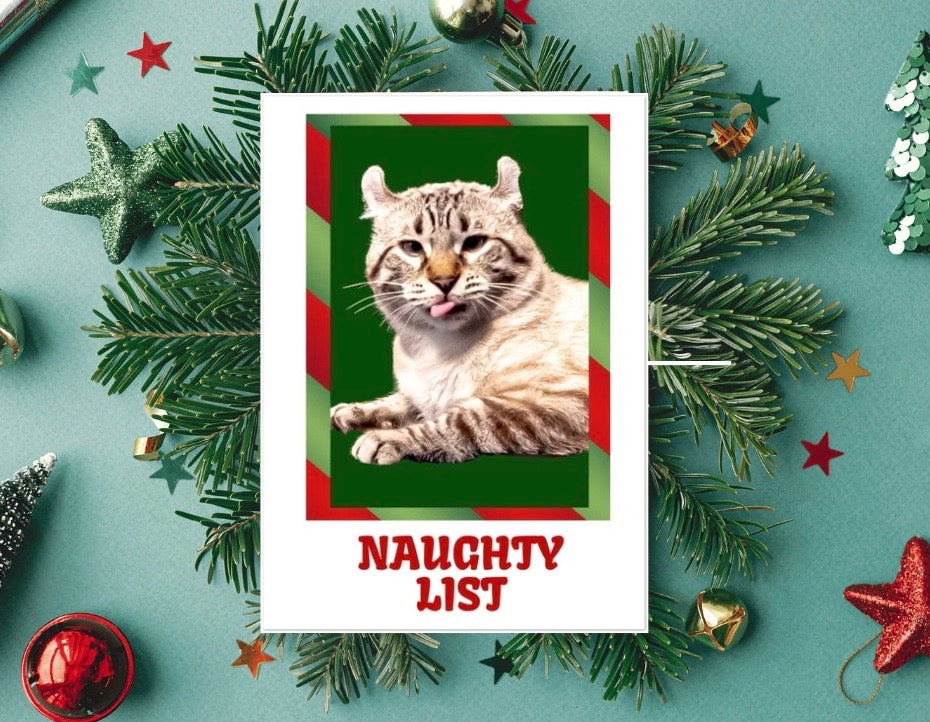 Naughty List - Cat Lover - Pack of 10 Blank - Christmas Greeting Cards 5x7   