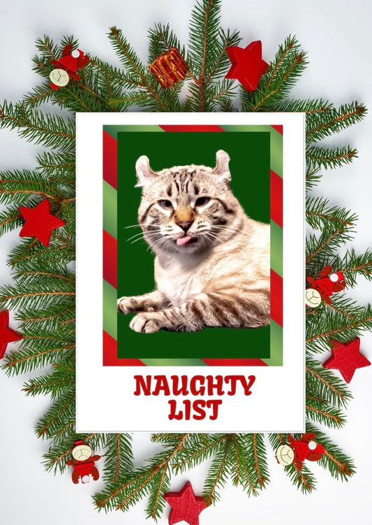 Naughty List - Cat Lover - Pack of 10 Blank - Christmas Greeting Cards 5x7   