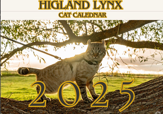 Highland Lynx - Cat Calendar (2025)   