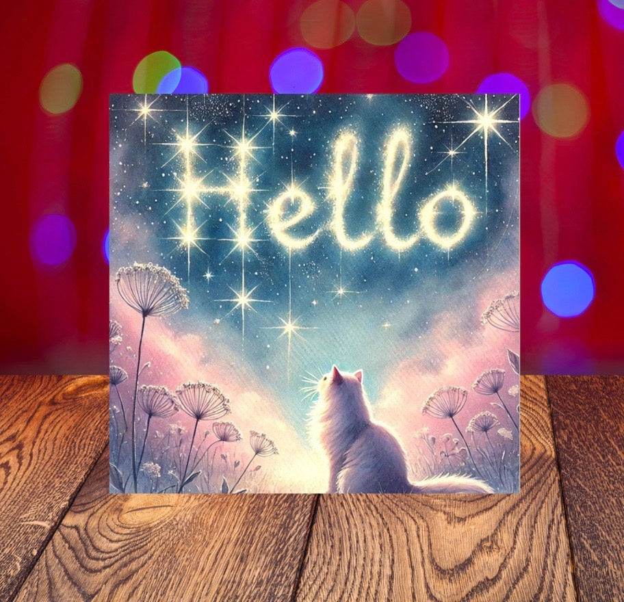 Hello - Cat Lover - Pack of 10 Blank Greeting Cards   