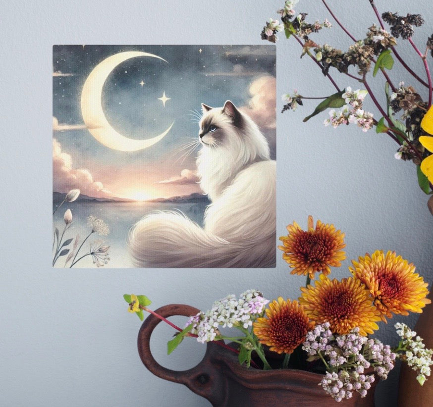 Celestial Moon - Cat Lover Ragdoll - Wall Art Decor 8x8   