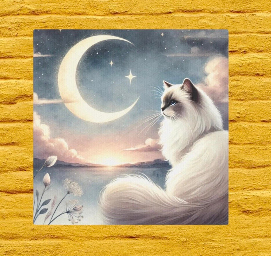 Celestial Moon - Cat Lover Ragdoll - Wall Art Decor 8x8   