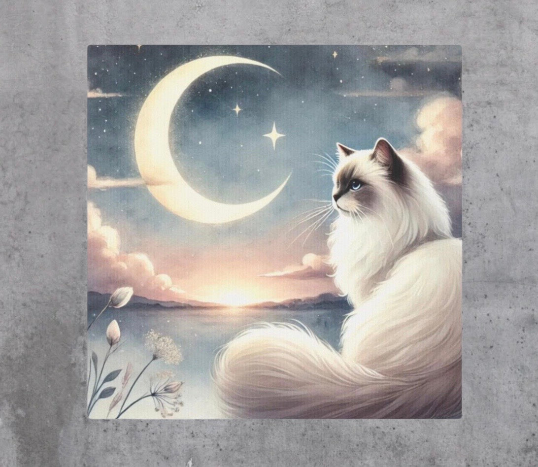 Celestial Moon - Cat Lover Ragdoll - Wall Art Decor 8x8   