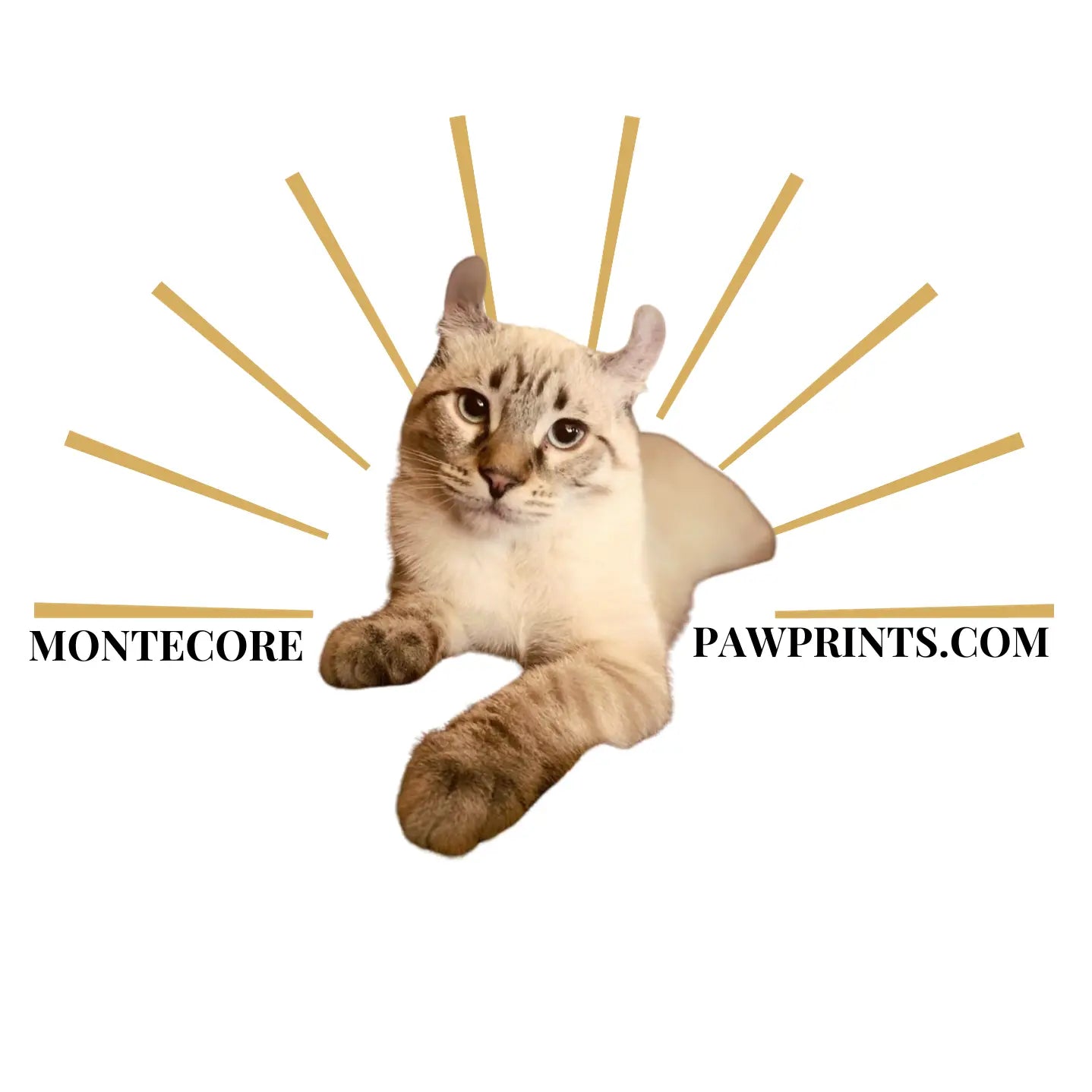 Gift Card - Montecore PawPrints - Montecore PawPrints